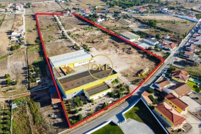 Armazém para Venda em Biscainho