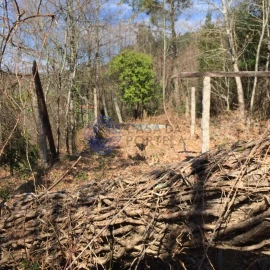 Moradia T2 para Venda em Cossourado e Linhares