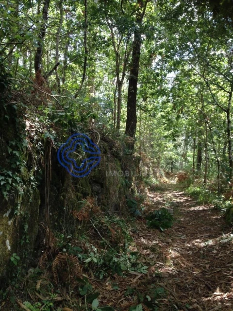 Moradia T2 para Venda em Cossourado e Linhares