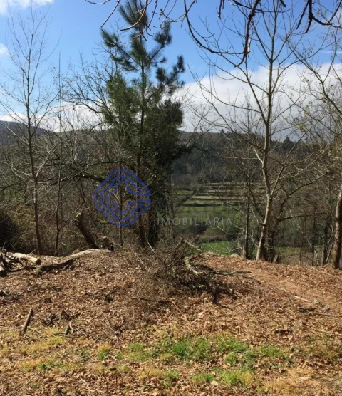 Moradia T2 para Venda em Cossourado e Linhares