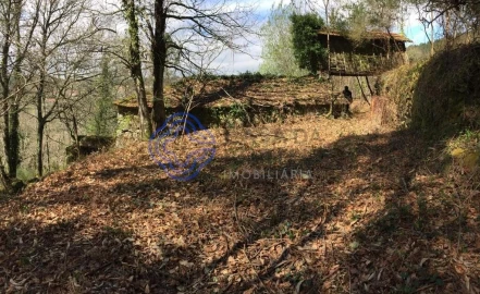 Moradia T2 para Venda em Cossourado e Linhares