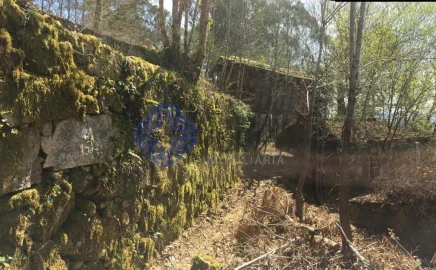 Moradia T2 para Venda em Cossourado e Linhares