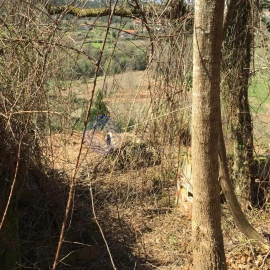 Moradia T2 para Venda em Cossourado e Linhares