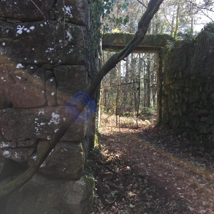 Moradia T2 para Venda em Cossourado e Linhares Foto 2