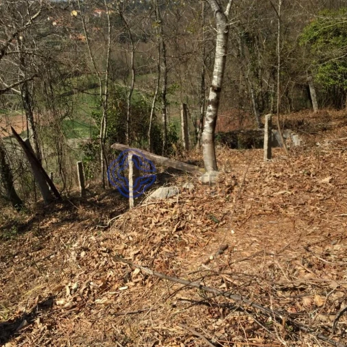 Moradia T2 para Venda em Cossourado e Linhares Foto 14