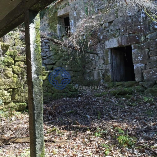 Moradia T2 para Venda em Cossourado e Linhares Foto 5