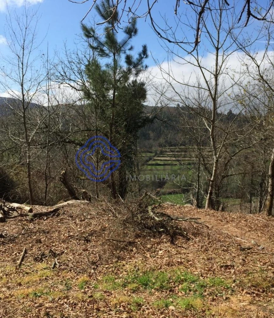 Moradia T2 para Venda em Cossourado e Linhares Foto 16