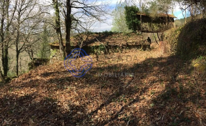 Moradia T2 para Venda em Cossourado e Linhares Foto 15