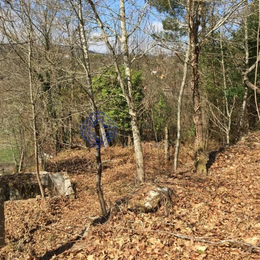 Moradia T2 para Venda em Cossourado e Linhares Foto 17