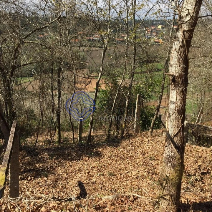 Moradia T2 para Venda em Cossourado e Linhares Foto 13