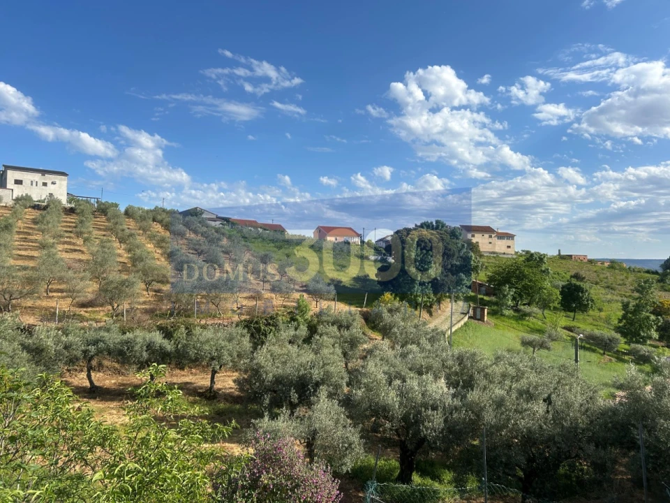 Moradia para Venda em Murça Foto 1