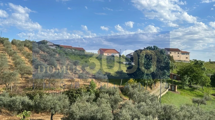 Moradia para Venda em Murça