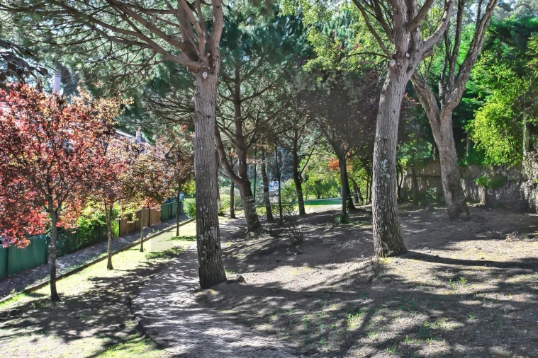 Moradia T4 para Arrendamento em Barcarena Foto 69