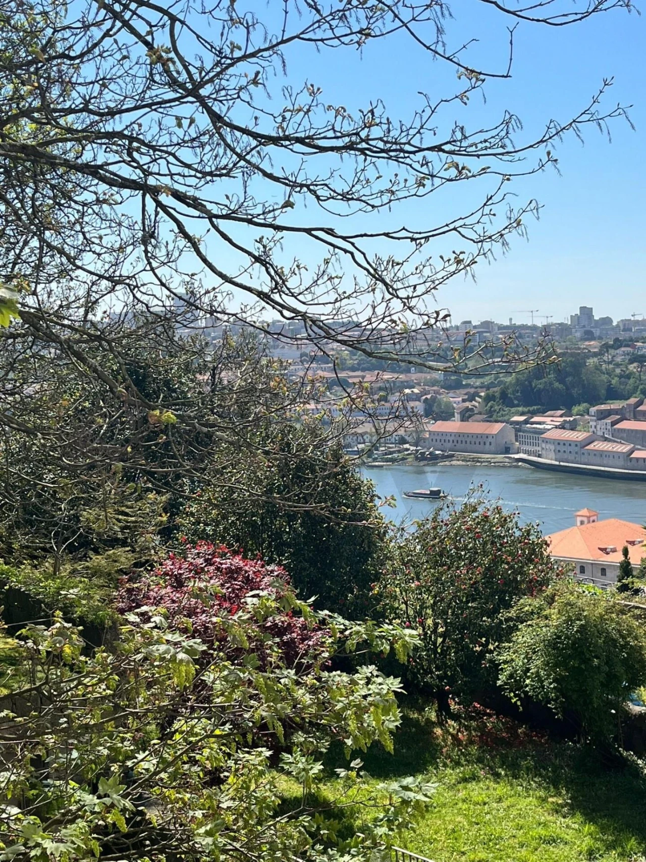 Moradia T3 para Venda em Cedofeita, Santo Ildefonso, Sé, Miragaia, São Nicolau e Vitória Foto 19