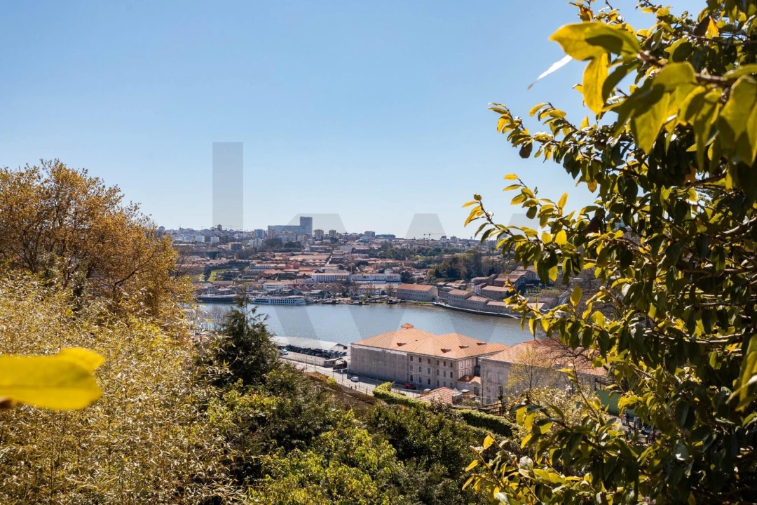Moradia T3 para Venda em Cedofeita, Santo Ildefonso, Sé, Miragaia, São Nicolau e Vitória Foto 16