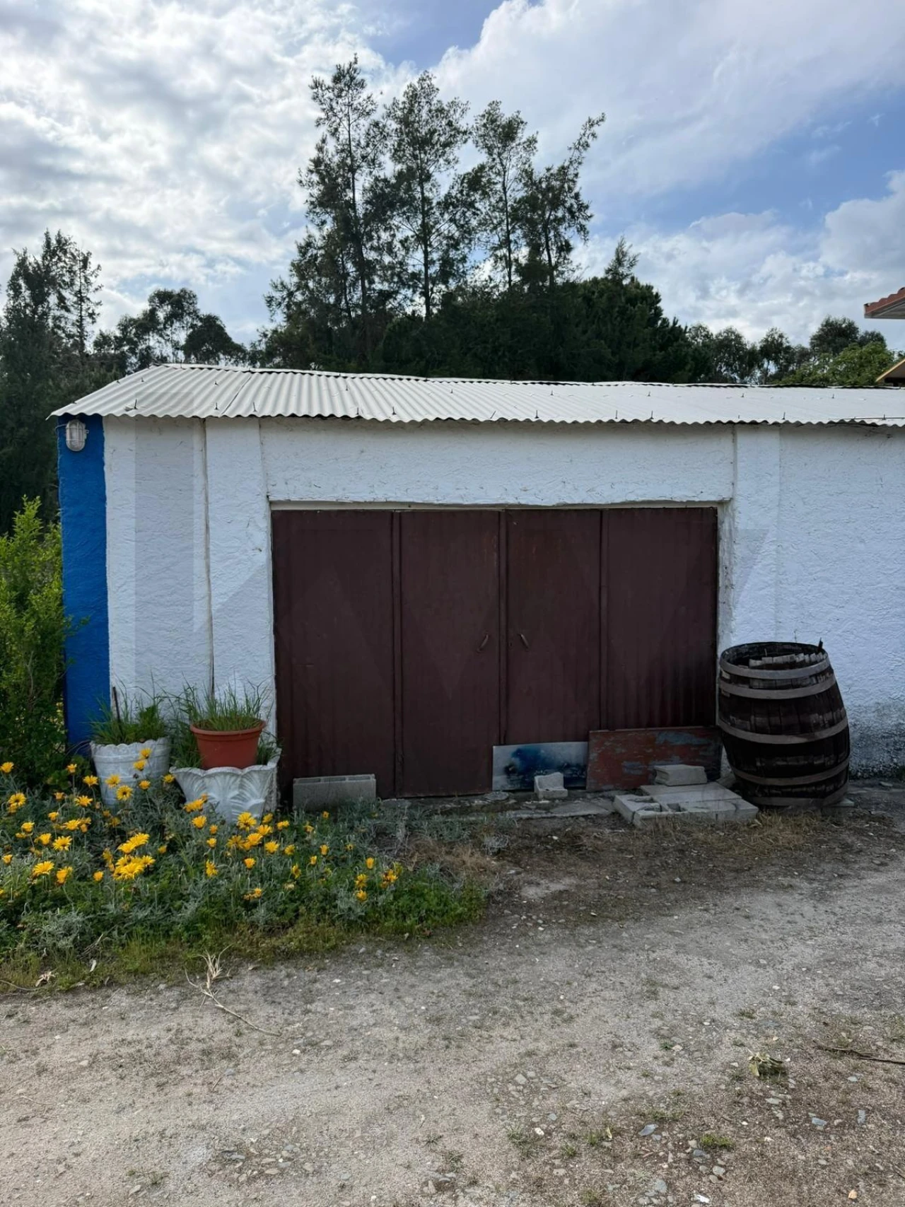 Quinta T8 para Venda em Melides Foto 8