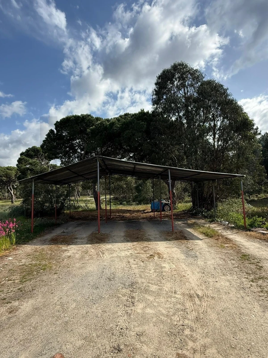 Quinta T8 para Venda em Melides Foto 9