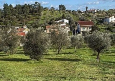 Terreno para Venda em Mouriscas