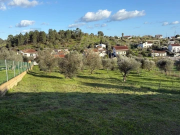Terreno para Venda em Mouriscas