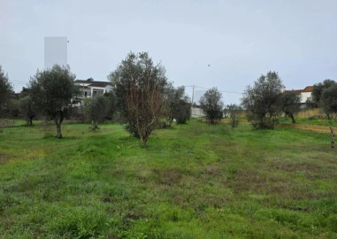 Terreno para Venda em Mouriscas