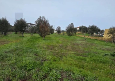 Terreno para Venda em Mouriscas