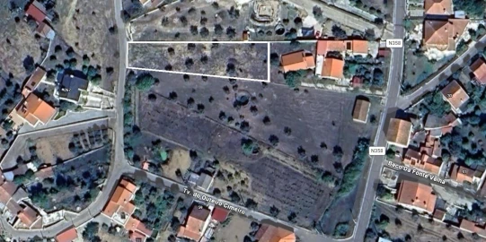 Terreno para Venda em Mouriscas