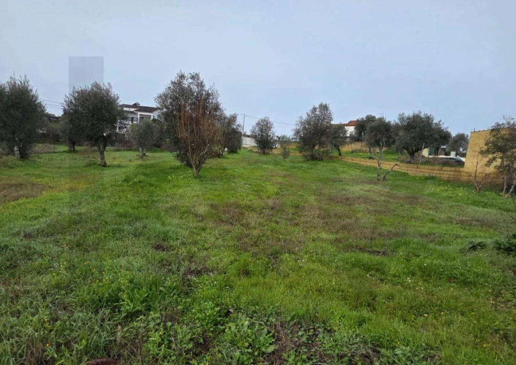 Terreno para Venda em Mouriscas Foto 4