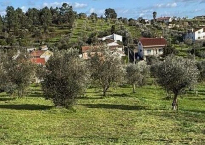 Terreno para Venda em Mouriscas Foto 3