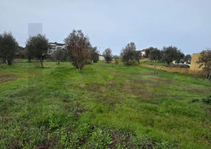 Terreno para Venda em Mouriscas Foto 4