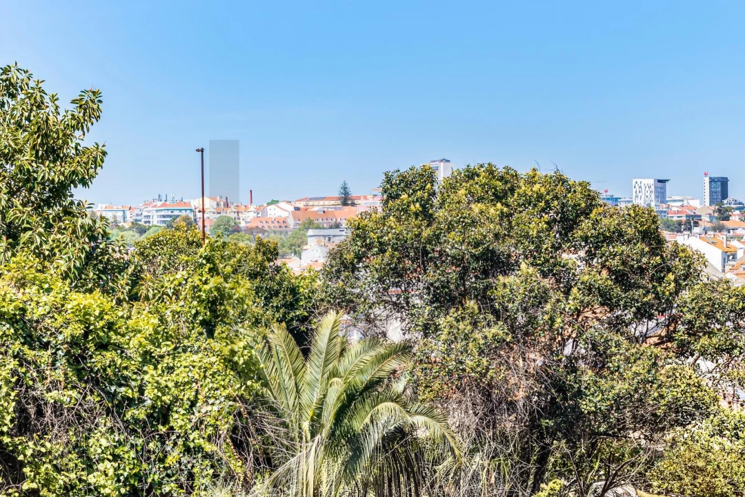 Armazém para Venda em Santa Maria Maior Foto 20