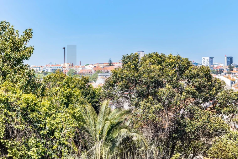 Armazém para Venda em Santa Maria Maior Foto 20