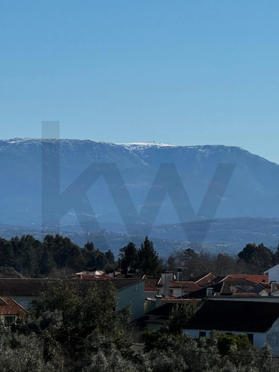 Loja para Venda em Currelos, Papízios e Sobral Foto 2