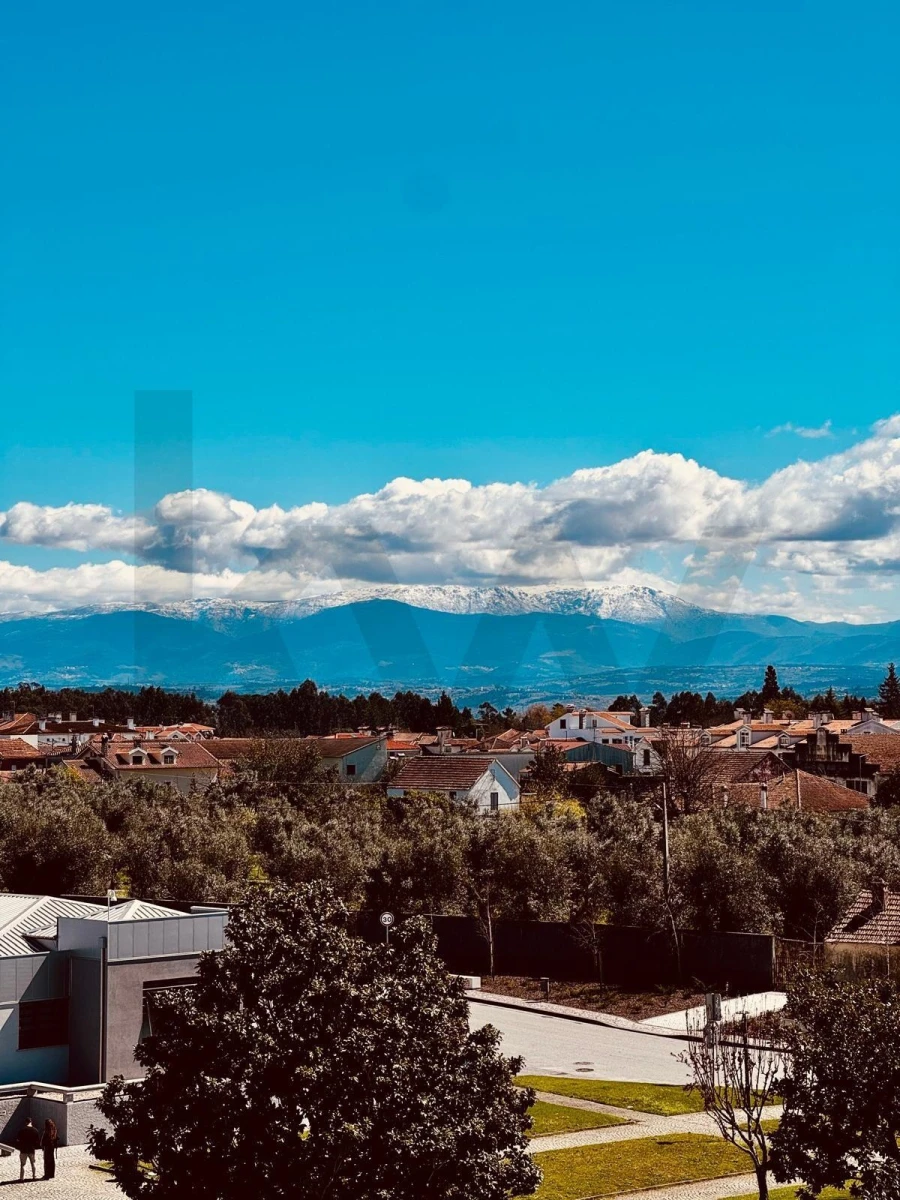 Loja para Venda em Currelos, Papízios e Sobral Foto 4