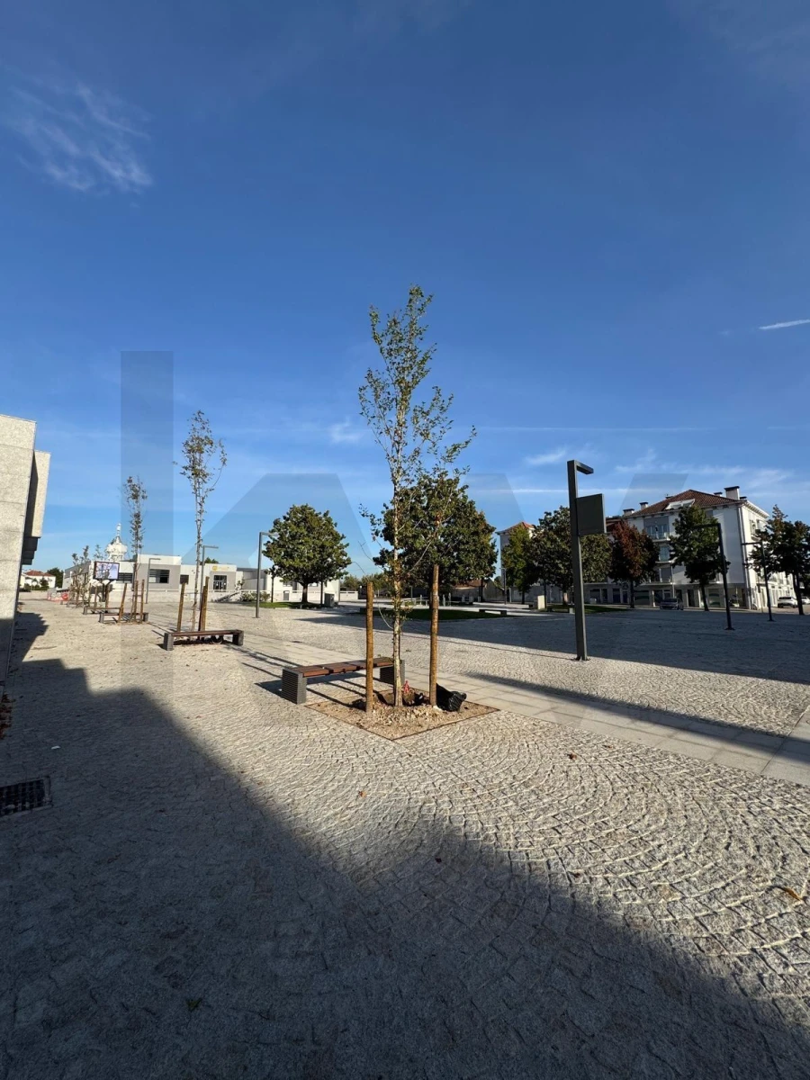 Loja para Venda em Currelos, Papízios e Sobral Foto 6