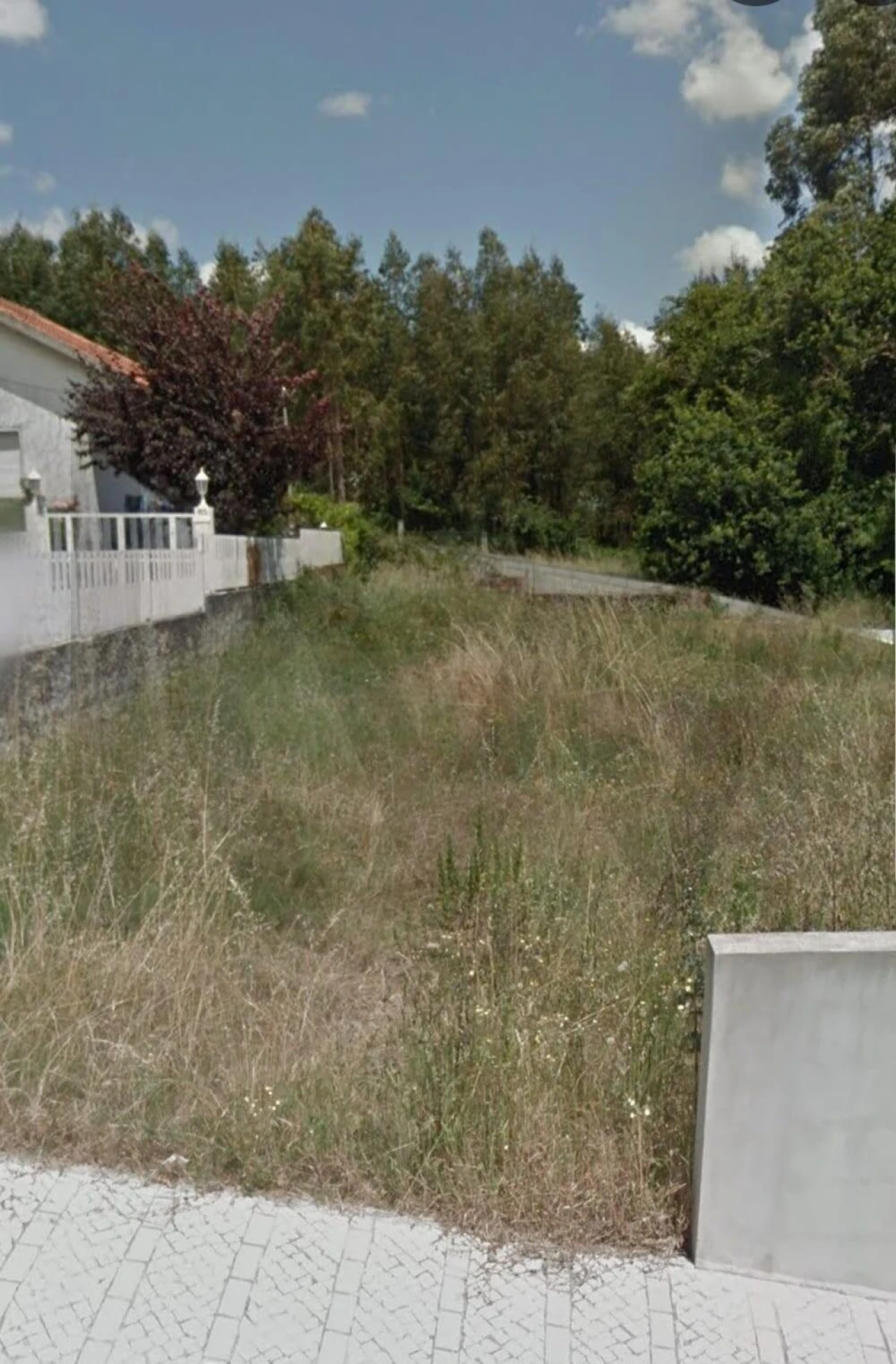 Terreno para Venda em São Martinho de Árvore e Lamarosa Foto 1