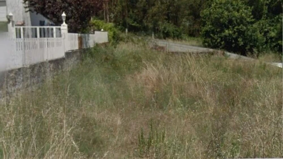 Terreno para Venda em São Martinho de Árvore e Lamarosa