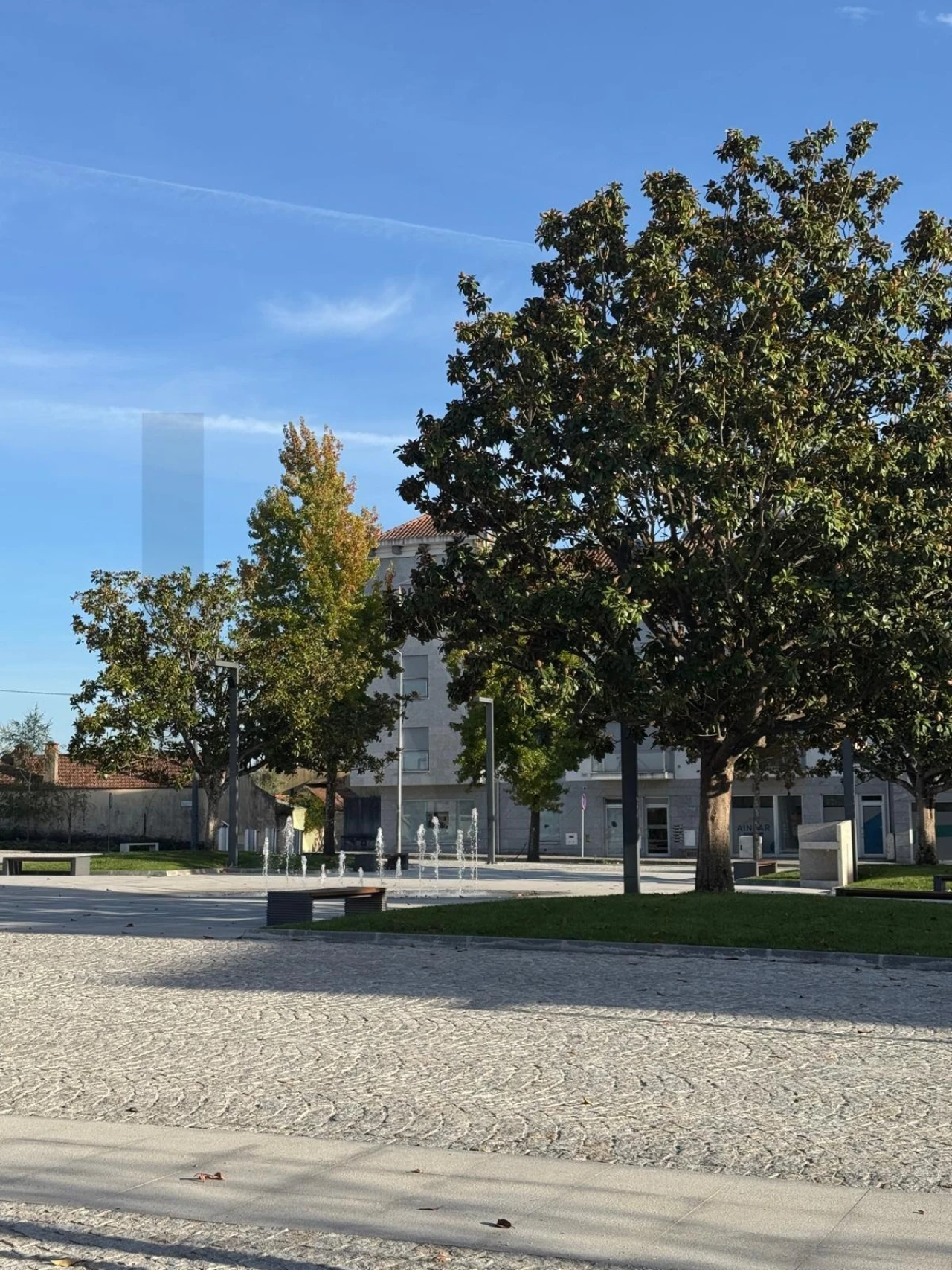 Loja para Venda em Currelos, Papízios e Sobral Foto 1