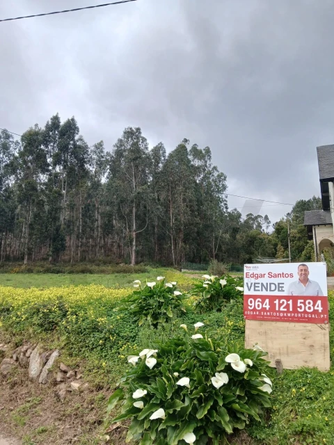 Terreno para Venda em Souselas e Botão