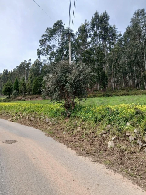 Terreno para Venda em Souselas e Botão