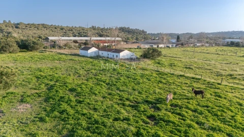 Quinta T6 para Venda em Lagos (São Sebastião e Santa Maria)
