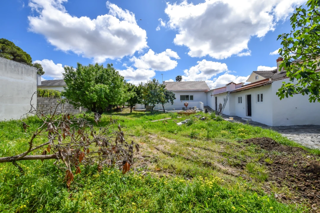 Moradia T3 para Venda em Torres Novas (Santa Maria, Salvador e Santiago) Foto 31