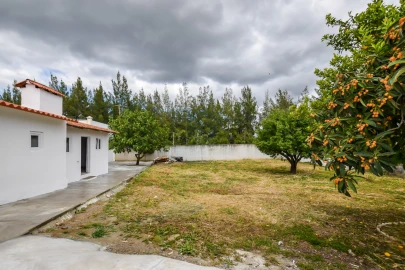 Moradia T3 para Venda em Torres Novas (Santa Maria, Salvador e Santiago)