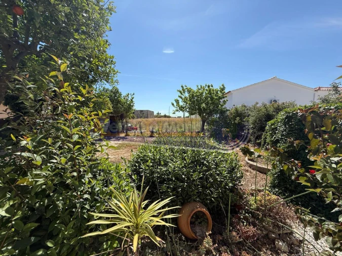 Moradia T3 para Venda em Salvaterra de Magos e Foros de Salvaterra Foto 8