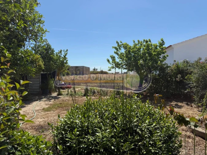 Moradia T3 para Venda em Salvaterra de Magos e Foros de Salvaterra Foto 10