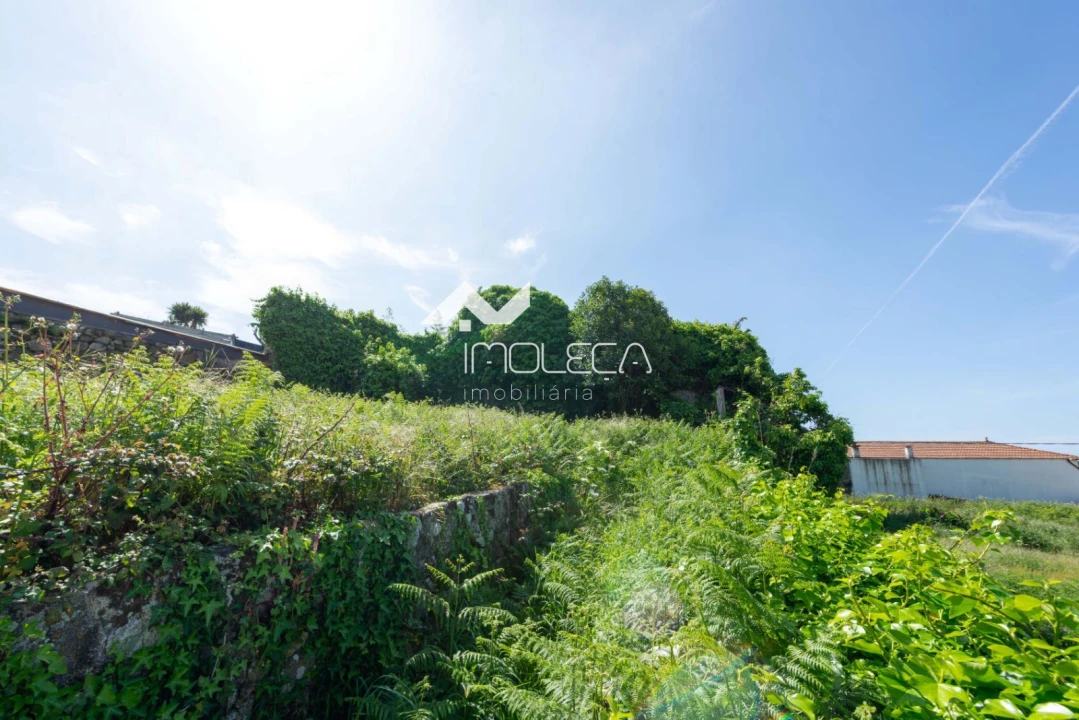 Terreno Comércio / Armazém para Venda em Perafita, Lavra e Santa Cruz do Bispo Foto 2