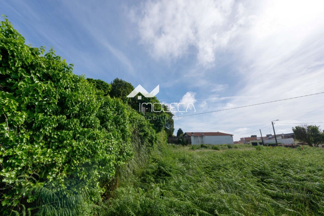 Terreno Comércio / Armazém para Venda em Perafita, Lavra e Santa Cruz do Bispo Foto 17