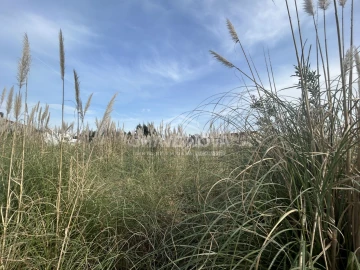 Terreno para Venda em Arcozelo