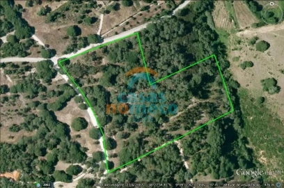 Terreno Misto para Venda em Sesimbra (Castelo)