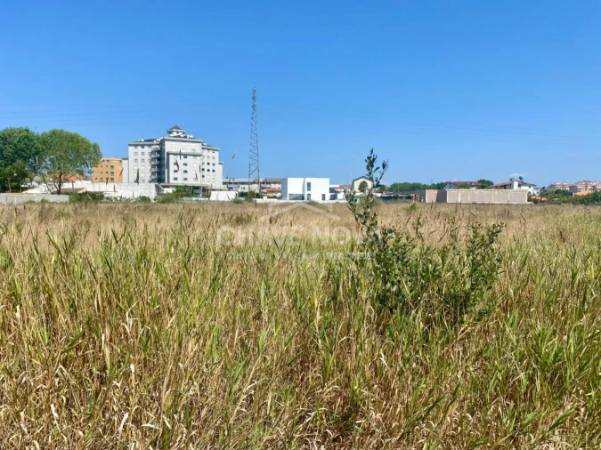 Terreno Agricola ou Rústico para Venda em Esmoriz Foto 3
