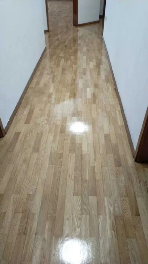 Apartamento T3 para Venda em Paranhos